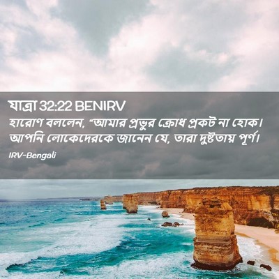 Picture 02 - যাত্ৰা 32:22 BENIRV - হারোণ বললেন, “আমার - Bible Verse Picture