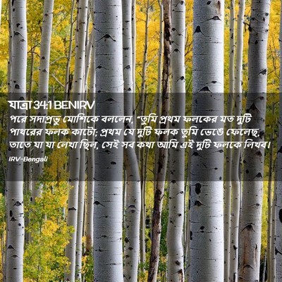 Picture 02 - যাত্ৰা 34:1 BENIRV - পরে সদাপ্রভু - Bible Verse Picture