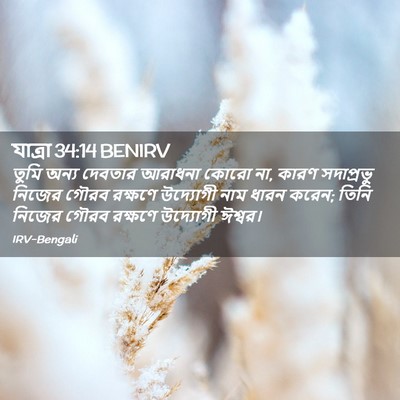Picture 02 - যাত্ৰা 34:14 BENIRV - তুমি অন্য দেবতার - Bible Verse Picture