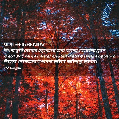 Picture 02 - যাত্ৰা 34:16 BENIRV - কিংবা তুমি তোমার - Bible Verse Picture