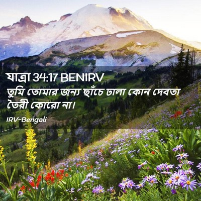 Picture 02 - যাত্ৰা 34:17 BENIRV - তুমি তোমার জন্য - Bible Verse Picture