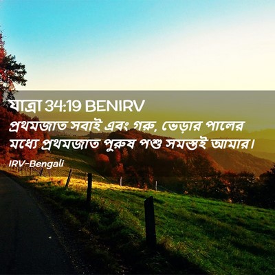 Picture 02 - যাত্ৰা 34:19 BENIRV - প্রথমজাত সবাই এবং - Bible Verse Picture