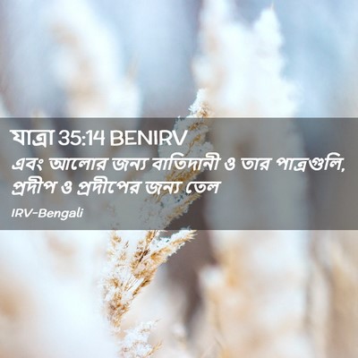 Picture 02 - যাত্ৰা 35:14 BENIRV - এবং আলোর জন্য - Bible Verse Picture