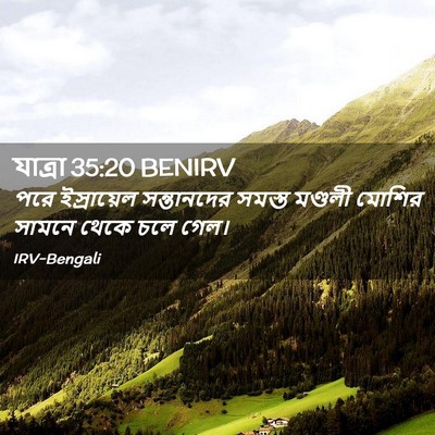 Picture 02 - যাত্ৰা 35:20 BENIRV - পরে ইস্রায়েল - Bible Verse Picture