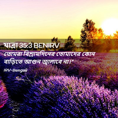 Picture 02 - যাত্ৰা 35:3 BENIRV - তোমরা - Bible Verse Picture