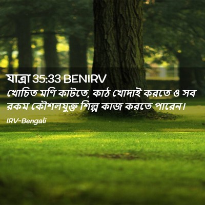 Picture 02 - যাত্ৰা 35:33 BENIRV - খোচিত মণি কাটতে, - Bible Verse Picture