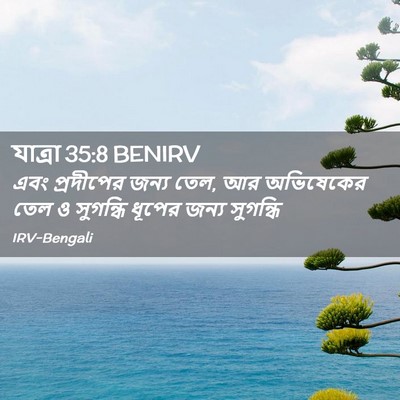 Picture 02 - যাত্ৰা 35:8 BENIRV - এবং প্রদীপের জন্য - Bible Verse Picture