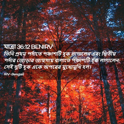Picture 02 - যাত্ৰা 36:12 BENIRV - তিনি প্রথম - Bible Verse Picture