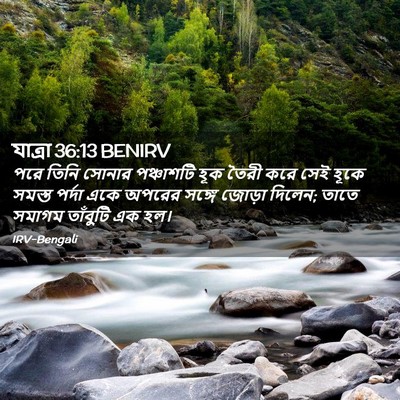 Picture 02 - যাত্ৰা 36:13 BENIRV - পরে তিনি সোনার - Bible Verse Picture