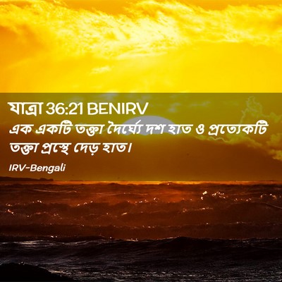 Picture 02 - যাত্ৰা 36:21 BENIRV - এক একটি তক্তা - Bible Verse Picture