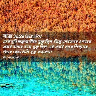 Picture 02 - যাত্ৰা 36:29 BENIRV - সেই দুটি তক্তার - Bible Verse Picture