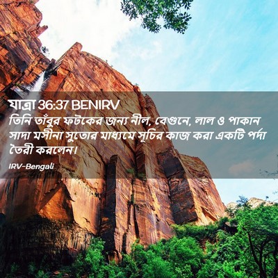 Picture 02 - যাত্ৰা 36:37 BENIRV - তিনি তাঁবুর ফটকের - Bible Verse Picture