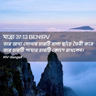 Picture 02 - যাত্ৰা 37:13 BENIRV - তার জন্য সোনার - Bible Verse Picture