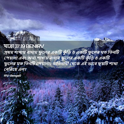 Picture 02 - যাত্ৰা 37:19 BENIRV - প্রথম শাখায় - Bible Verse Picture