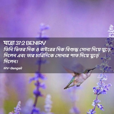 Picture 02 - যাত্ৰা 37:2 BENIRV - তিনি ভিতর দিক ও - Bible Verse Picture