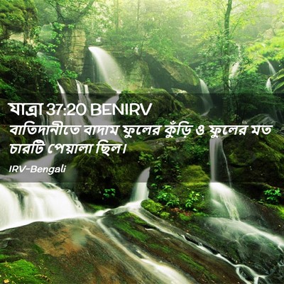 Picture 02 - যাত্ৰা 37:20 BENIRV - বাতিদানীতে বাদাম - Bible Verse Picture