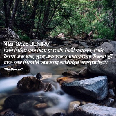 Picture 02 - যাত্ৰা 37:25 BENIRV - তিনি শিটীম কাঠ - Bible Verse Picture