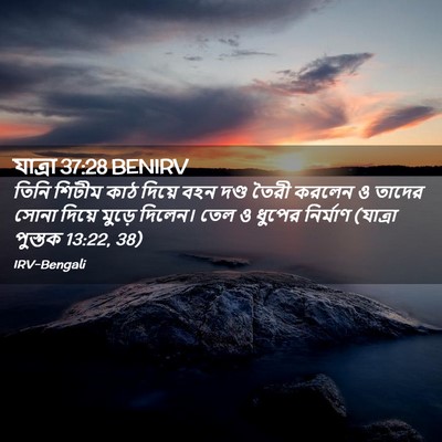 Picture 02 - যাত্ৰা 37:28 BENIRV - তিনি শিটীম কাঠ - Bible Verse Picture