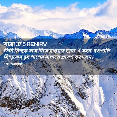 Picture 02 - যাত্ৰা 37:5 BENIRV - তিনি সিন্দুক বয়ে - Bible Verse Picture