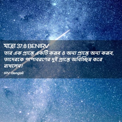 Picture 02 - যাত্ৰা 37:8 BENIRV - তার এক প্রান্তে - Bible Verse Picture