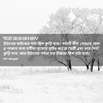 Picture 02 - যাত্ৰা 38:18 BENIRV - উঠানের ফটকের - Bible Verse Picture