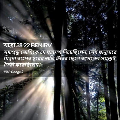 Picture 02 - যাত্ৰা 38:22 BENIRV - সদাপ্রভু মোশিকে - Bible Verse Picture