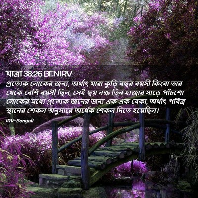 Picture 02 - যাত্ৰা 38:26 BENIRV - প্রত্যেক লোকের - Bible Verse Picture