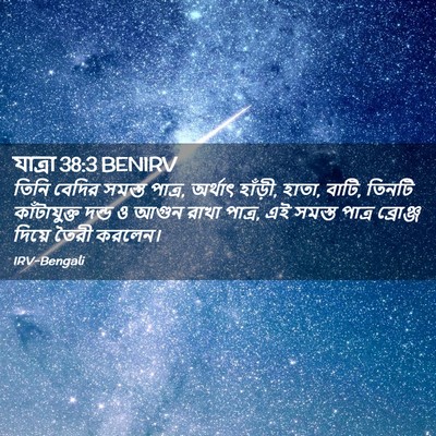 Picture 02 - যাত্ৰা 38:3 BENIRV - তিনি বেদির সমস্ত - Bible Verse Picture