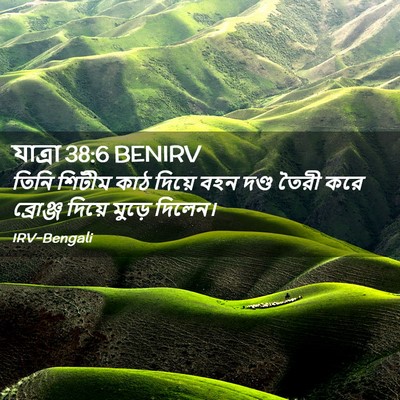Picture 02 - যাত্ৰা 38:6 BENIRV - তিনি শিটীম কাঠ - Bible Verse Picture