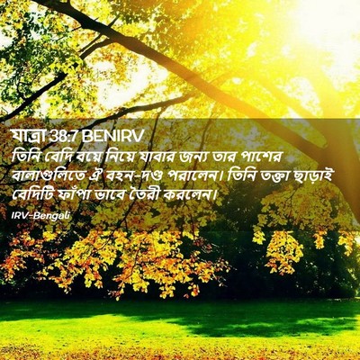 Picture 02 - যাত্ৰা 38:7 BENIRV - তিনি বেদি বয়ে - Bible Verse Picture