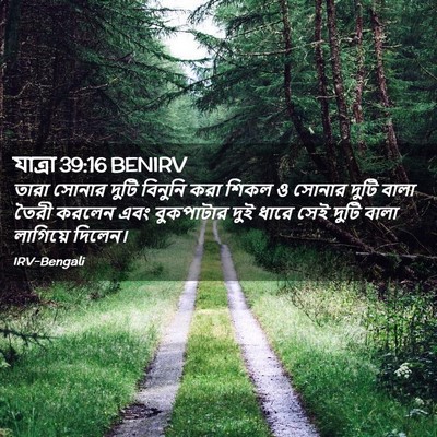 Picture 02 - যাত্ৰা 39:16 BENIRV - তারা সোনার দুটি - Bible Verse Picture