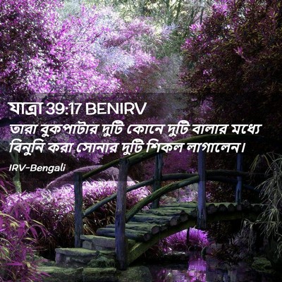 Picture 02 - যাত্ৰা 39:17 BENIRV - তারা বুকপাটার - Bible Verse Picture