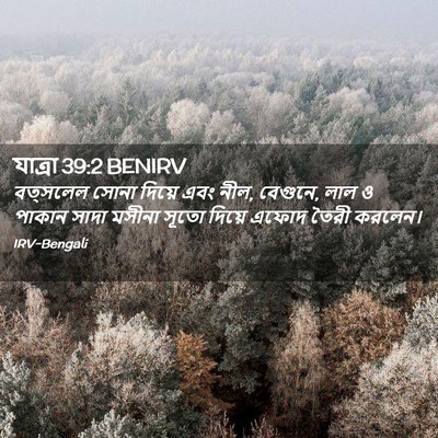 Picture 02 - যাত্ৰা 39:2 BENIRV - বত্সলেল সোনা - Bible Verse Picture