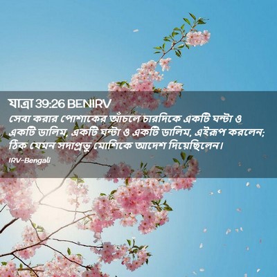 Picture 02 - যাত্ৰা 39:26 BENIRV - সেবা করার পোশাকের - Bible Verse Picture
