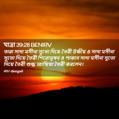 Picture 02 - যাত্ৰা 39:28 BENIRV - তারা সাদা মসীনা - Bible Verse Picture
