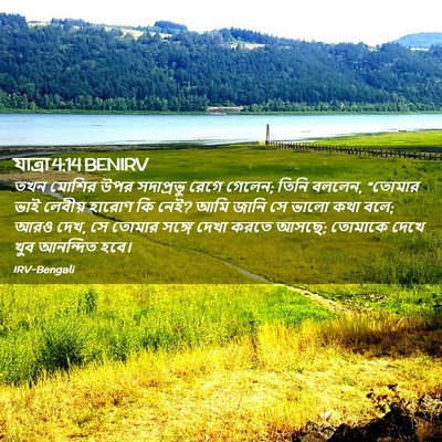Picture 02 - যাত্ৰা 4:14 BENIRV - তখন মোশির উপর - Bible Verse Picture
