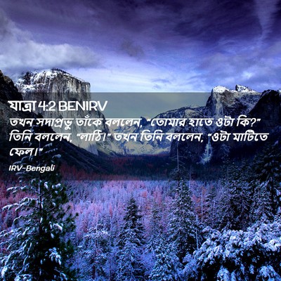 Picture 02 - যাত্ৰা 4:2 BENIRV - তখন সদাপ্রভু - Bible Verse Picture