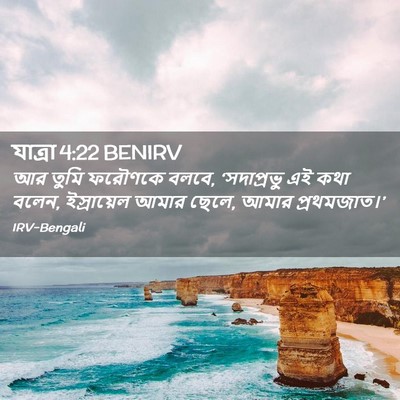 Picture 02 - যাত্ৰা 4:22 BENIRV - আর তুমি ফরৌণকে - Bible Verse Picture