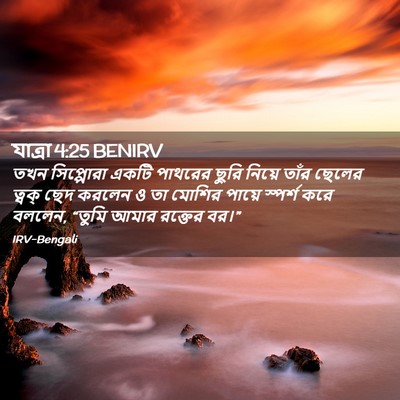 Picture 02 - যাত্ৰা 4:25 BENIRV - তখন সিপ্পোরা একটি - Bible Verse Picture