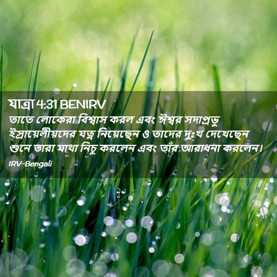 Picture 02 - যাত্ৰা 4:31 BENIRV - তাতে লোকেরা - Bible Verse Picture