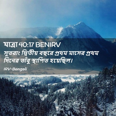 Picture 02 - যাত্ৰা 40:17 BENIRV - সুতরাং দ্বিতীয় - Bible Verse Picture