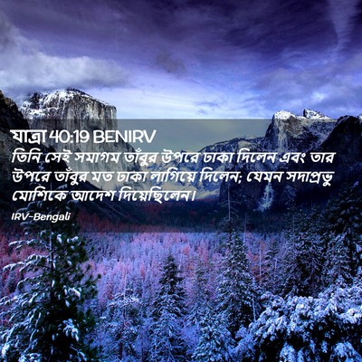 Picture 02 - যাত্ৰা 40:19 BENIRV - তিনি সেই সমাগম - Bible Verse Picture