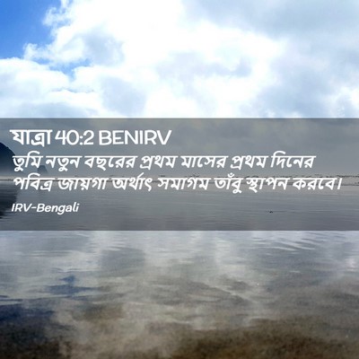 Picture 02 - যাত্ৰা 40:2 BENIRV - তুমি নতুন বছরের - Bible Verse Picture