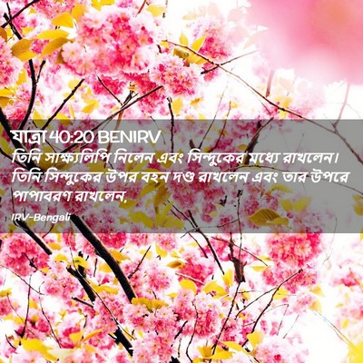 Picture 02 - যাত্ৰা 40:20 BENIRV - তিনি সাক্ষ্যলিপি - Bible Verse Picture