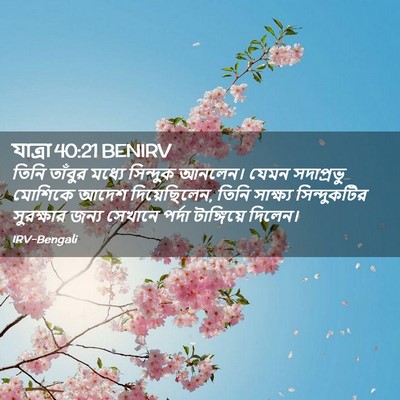 Picture 02 - যাত্ৰা 40:21 BENIRV - তিনি তাঁবুর মধ্যে - Bible Verse Picture