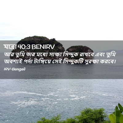 Picture 02 - যাত্ৰা 40:3 BENIRV - আর তুমি তার মধ্যে - Bible Verse Picture