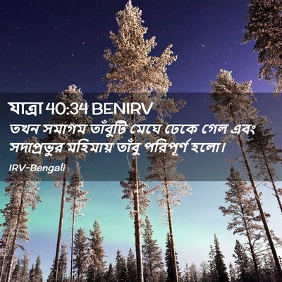 Picture 02 - যাত্ৰা 40:34 BENIRV - তখন সমাগম তাঁবুটি - Bible Verse Picture