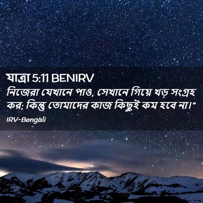 Picture 02 - যাত্ৰা 5:11 BENIRV - নিজেরা যেখানে পাও, - Bible Verse Picture