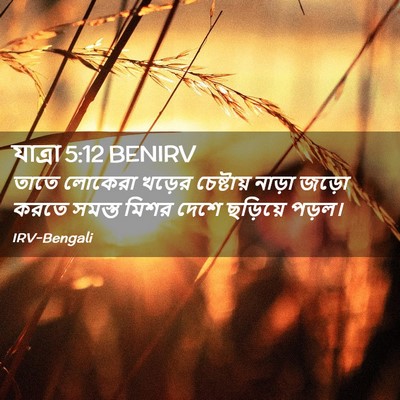 Picture 02 - যাত্ৰা 5:12 BENIRV - তাতে লোকেরা খড়ের - Bible Verse Picture