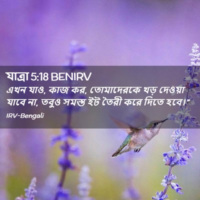 Picture 02 - যাত্ৰা 5:18 BENIRV - এখন যাও, কাজ কর, - Bible Verse Picture